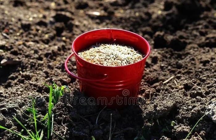 3f8615c5570849081150f59ca5e0ba5d.jpg 3f8615c5570849081150f59ca5e0ba5d.jpg