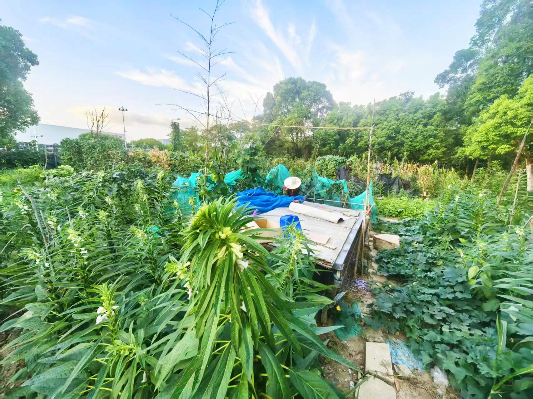 76585eb51e92203f99c3dab535560539.jpg 76585eb51e92203f99c3dab535560539.jpg