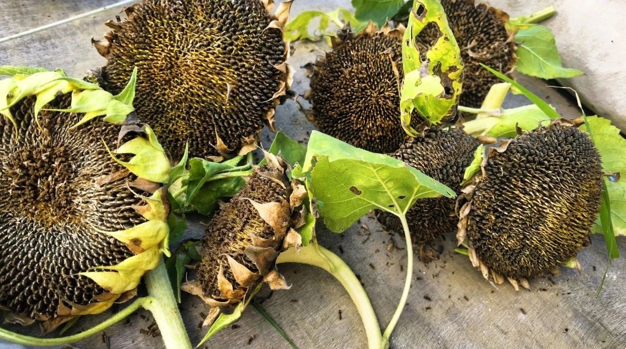 978ab8b54c17b84ca64dd0072e7f3eba.jpg 978ab8b54c17b84ca64dd0072e7f3eba.jpg